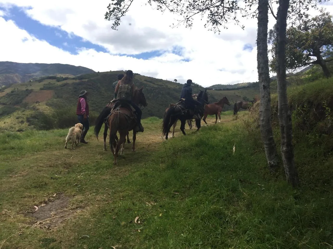 Orman Evi Hosteria Mi Refugio Quito
